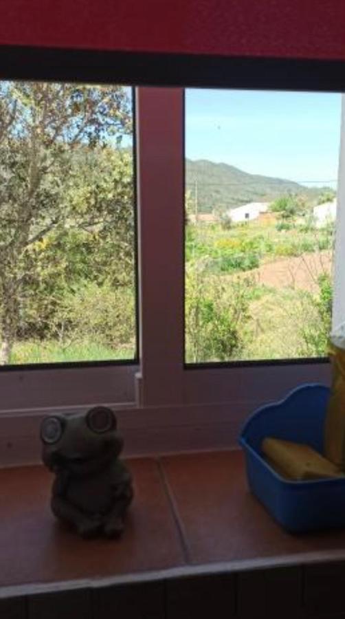 Refugio Dos Sapinhos Villa Silves Bagian luar foto