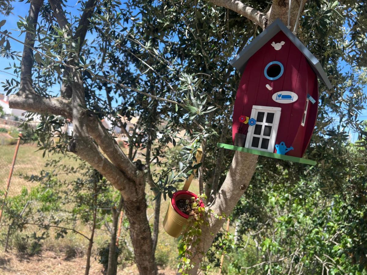 Refugio Dos Sapinhos Villa Silves Bagian luar foto